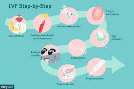 IVF Procedure or IVF Process